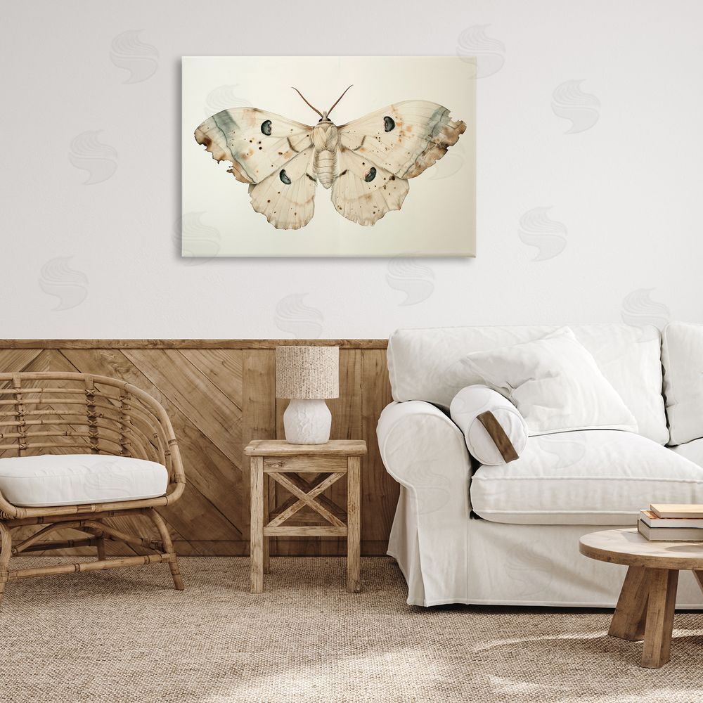 Petal Prints Design Vintage Beige Moth Canvas Wall Art Print in Room