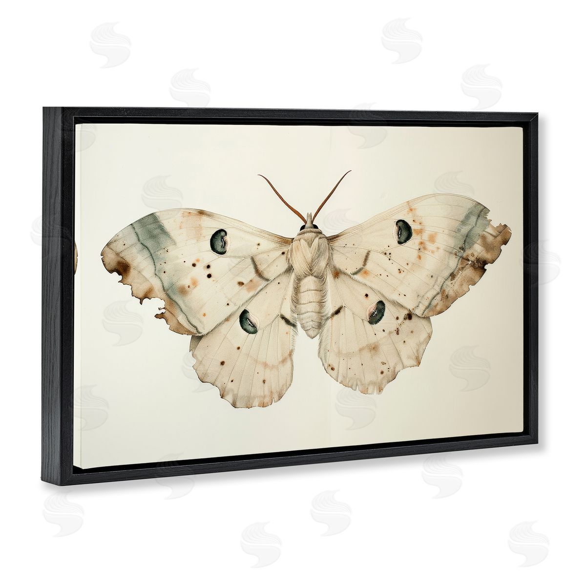 Petal Prints Design Vintage Beige Moth Black Floating Frame Canvas Wall Art Print