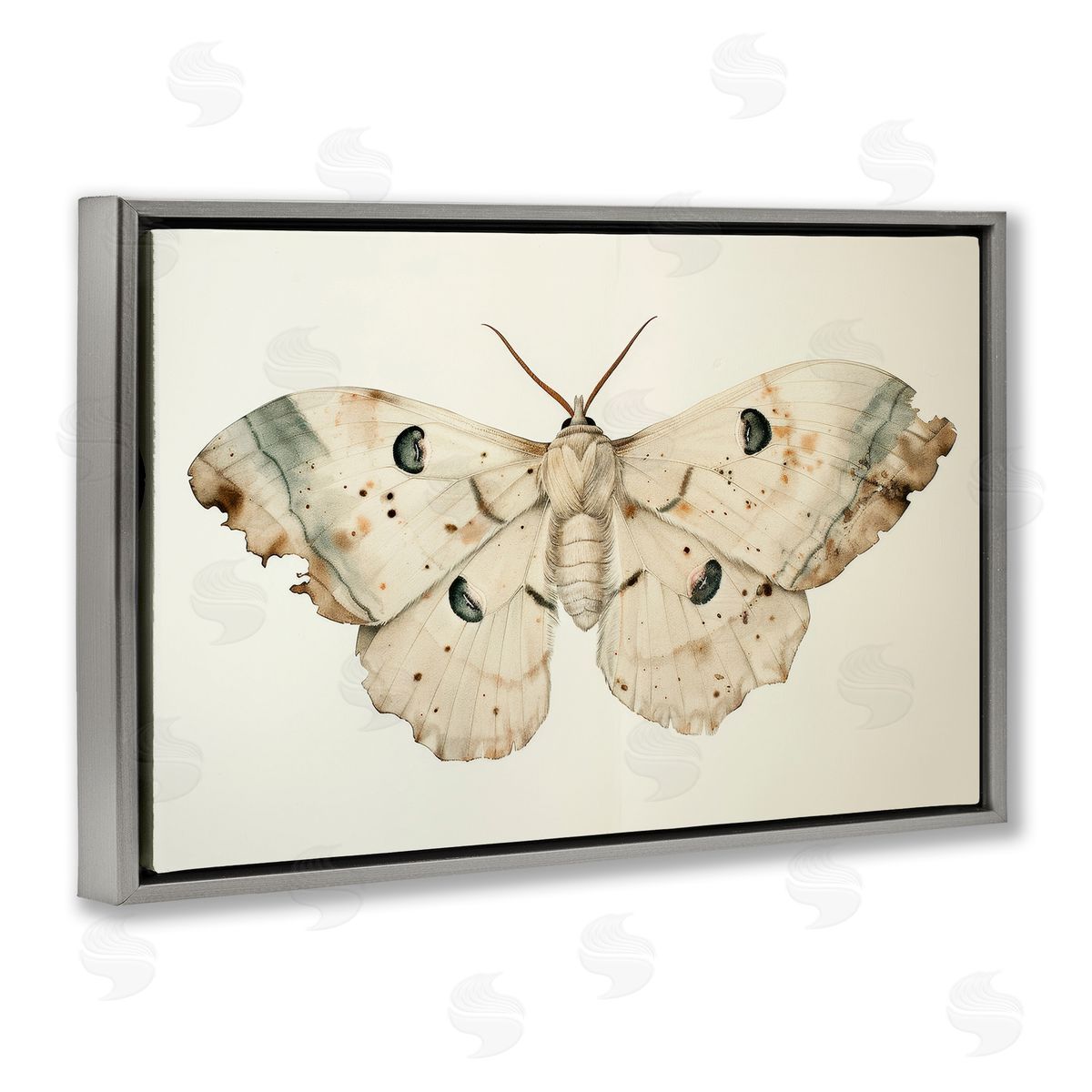 Petal Prints Design Vintage Beige Moth Gray Floating Frame Canvas Wall Art Print