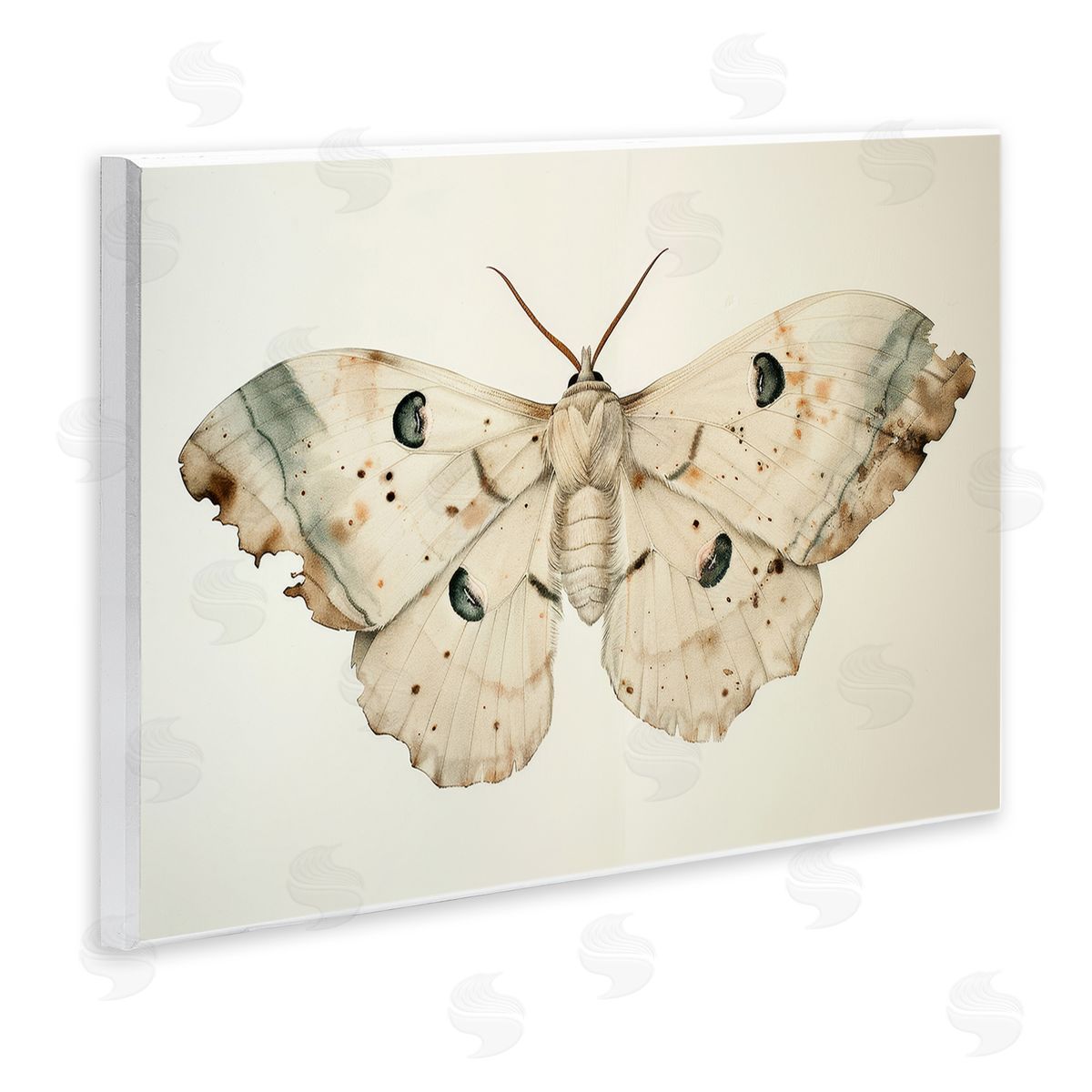 Petal Prints Design Vintage Beige Moth Wooden Wall Plaque Art Print