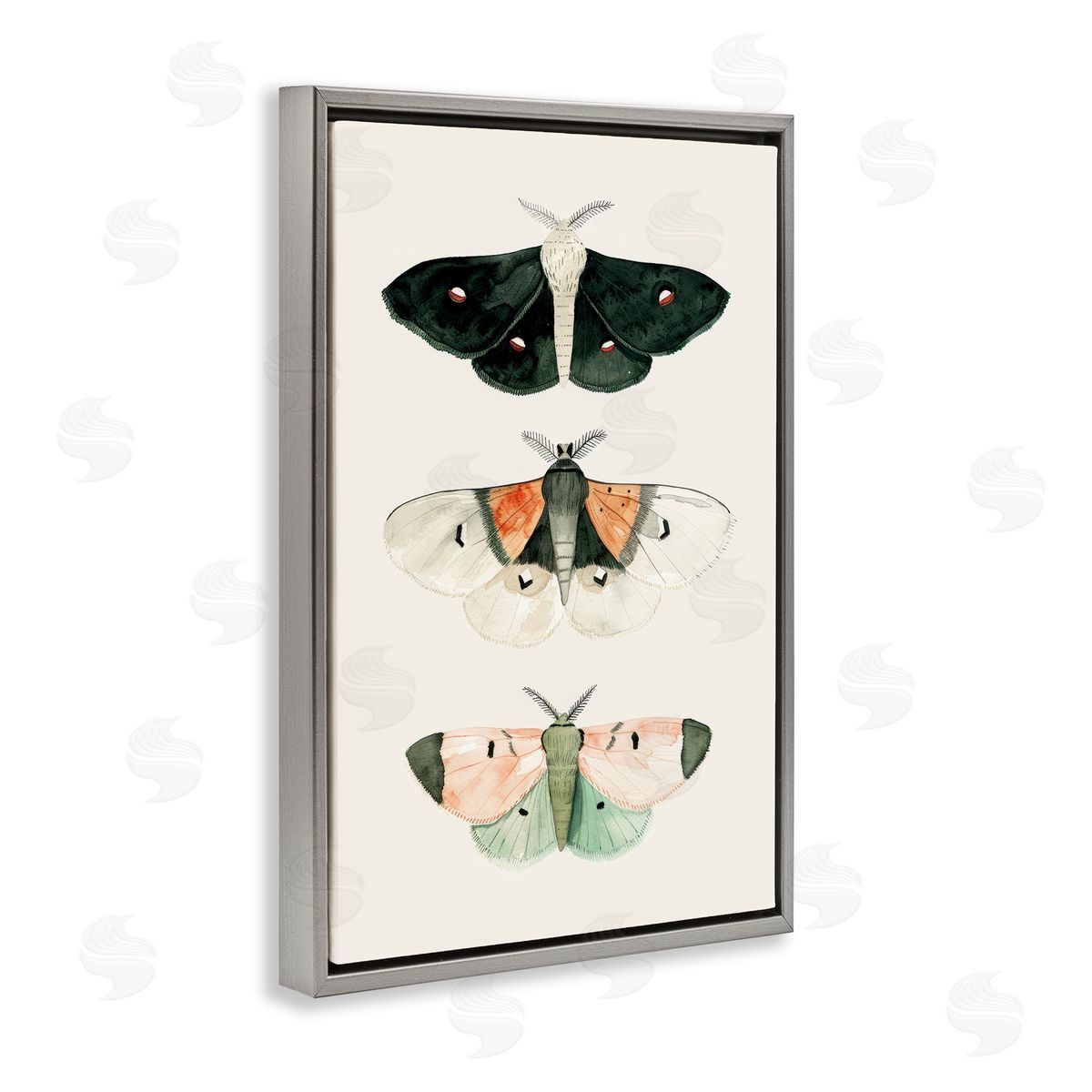 Petal Prints Design Assorted Moth Trio Gray Floating Frame Canvas Wall Art Print