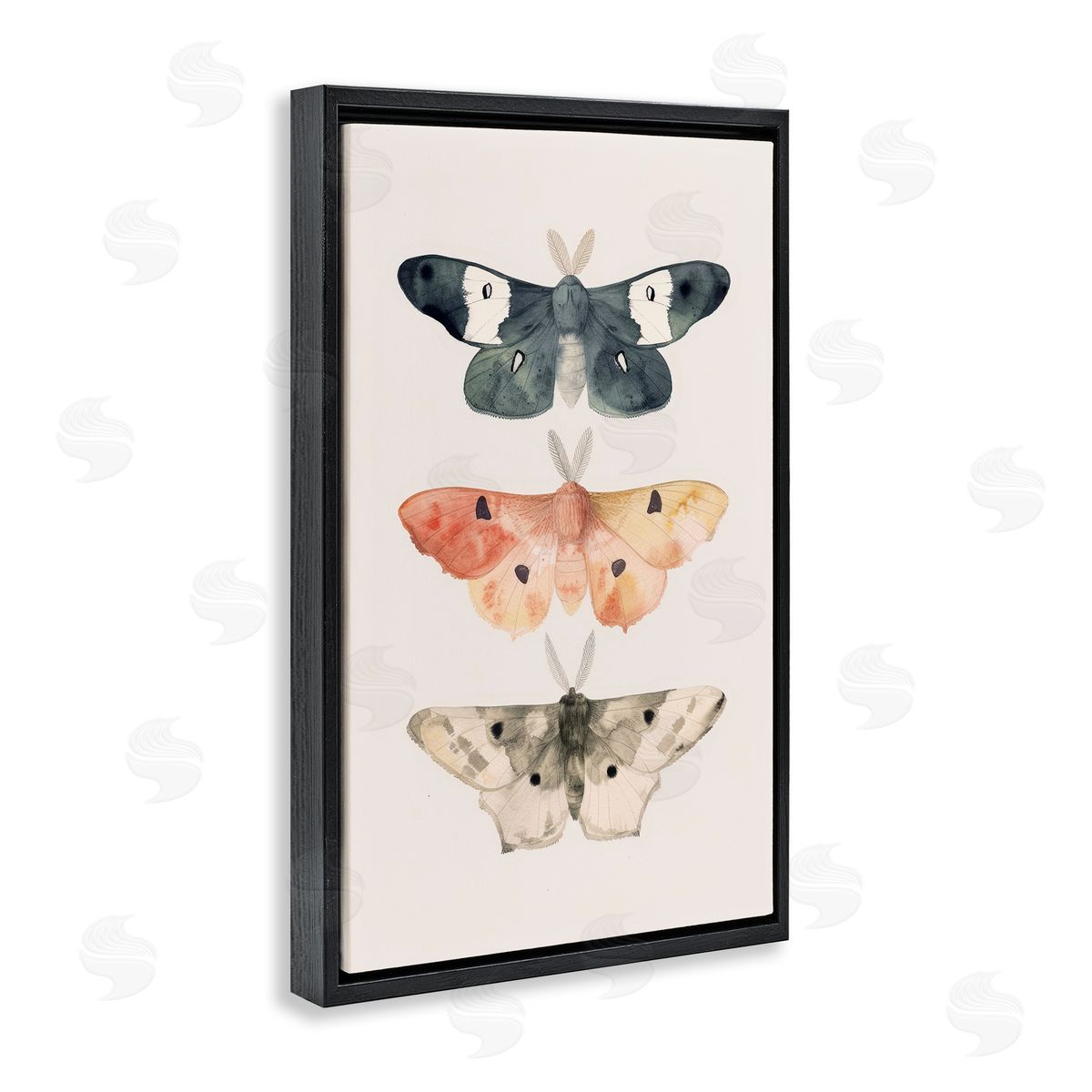 Petal Prints Design Watercolor Moth Trio Black Floating Frame Canvas Wall Art Print