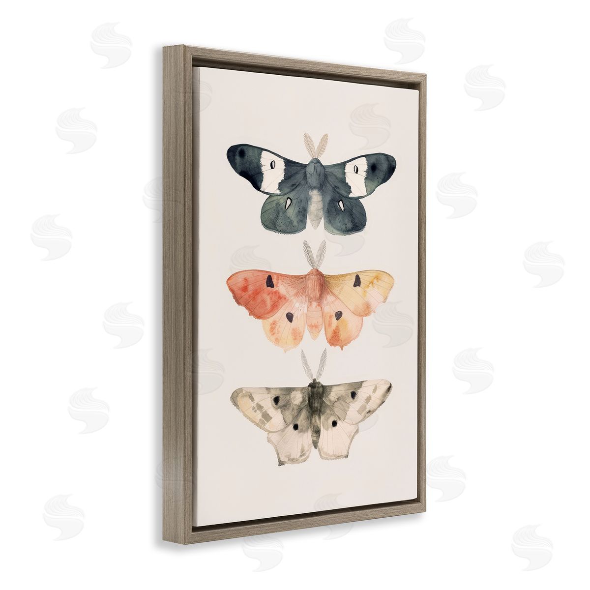 Petal Prints Design Watercolor Moth Trio Brown Floating Frame Canvas Wall Art Print