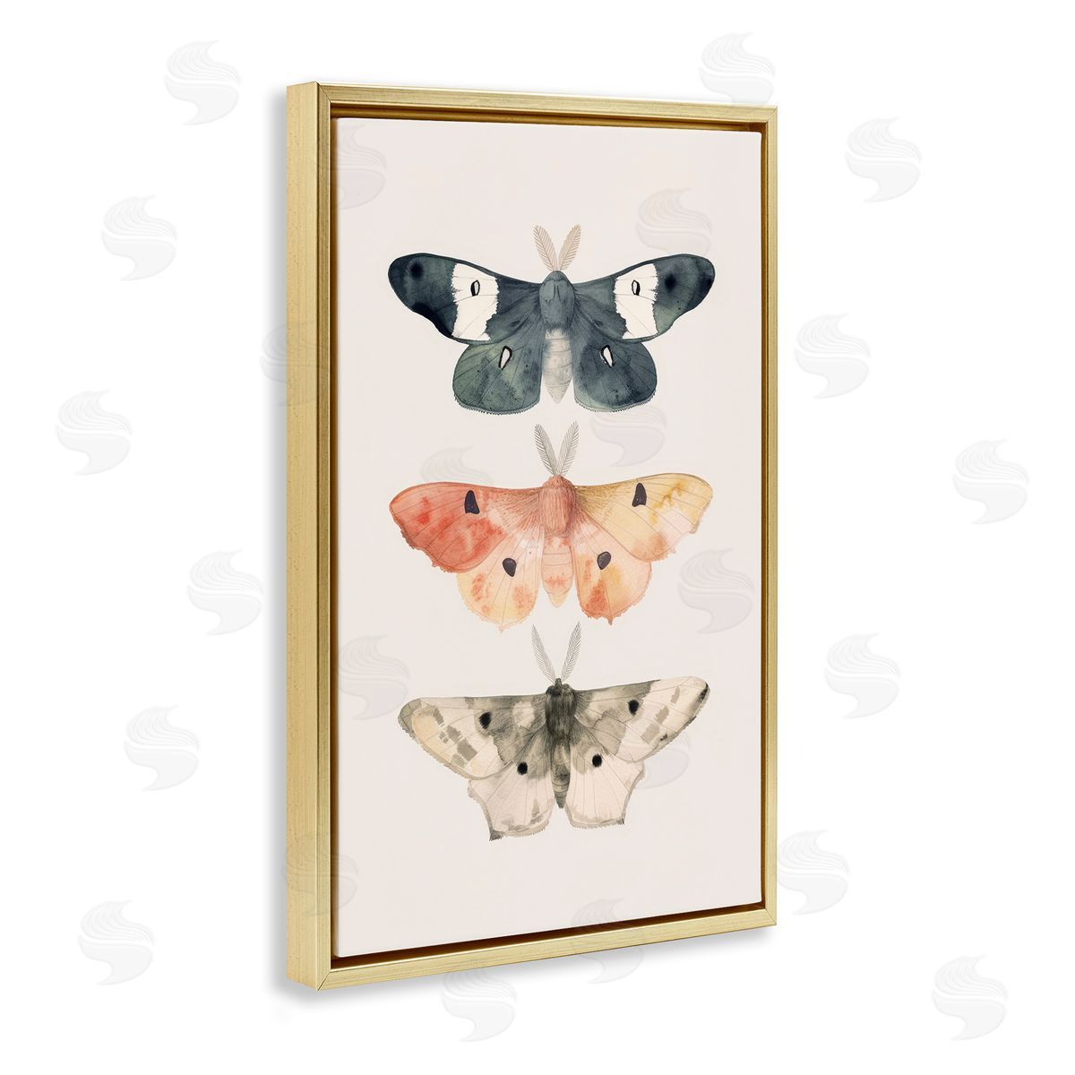 Petal Prints Design Watercolor Moth Trio Gold Floating Frame Canvas Wall Art Print