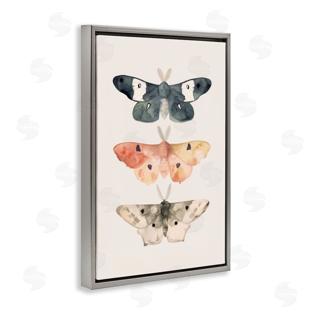 Petal Prints Design Watercolor Moth Trio Gray Floating Frame Canvas Wall Art Print