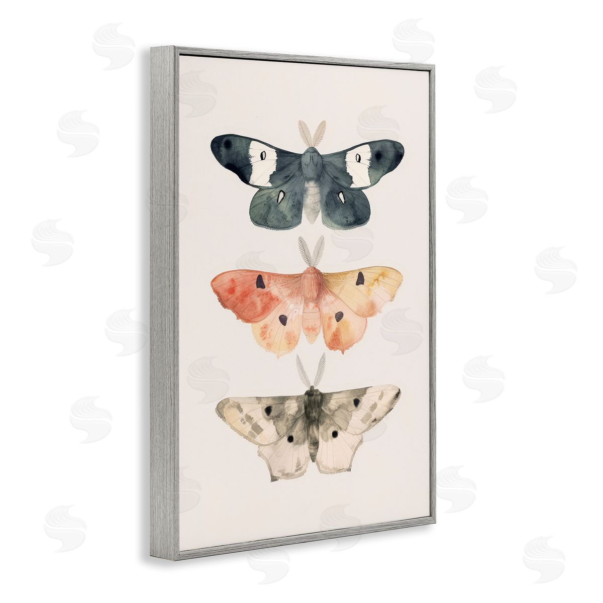 Petal Prints Design Watercolor Moth Trio Gray Framed Giclee Wall Art Print
