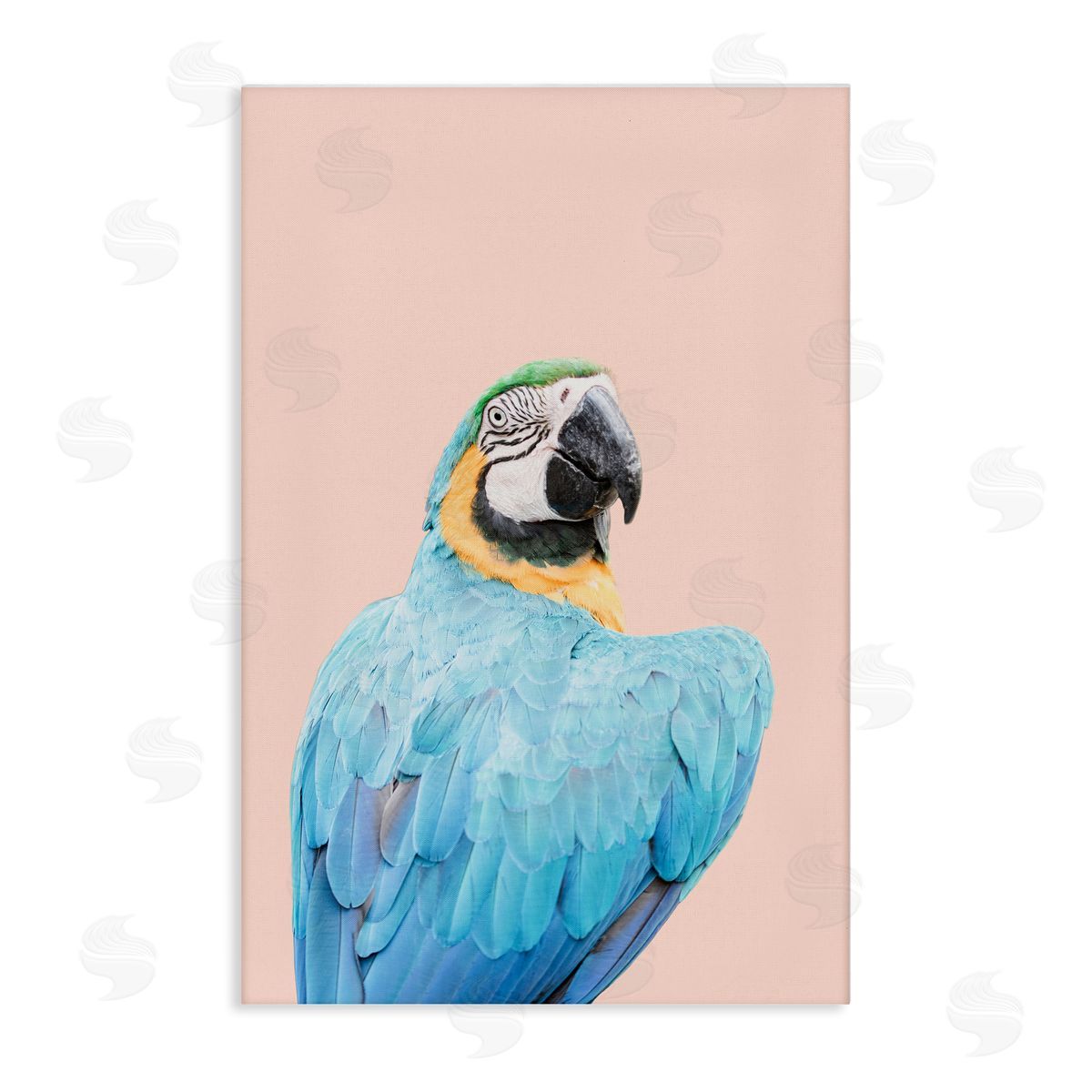 Sisi and Seb Blue Ara Macaw Canvas Wall Art Print