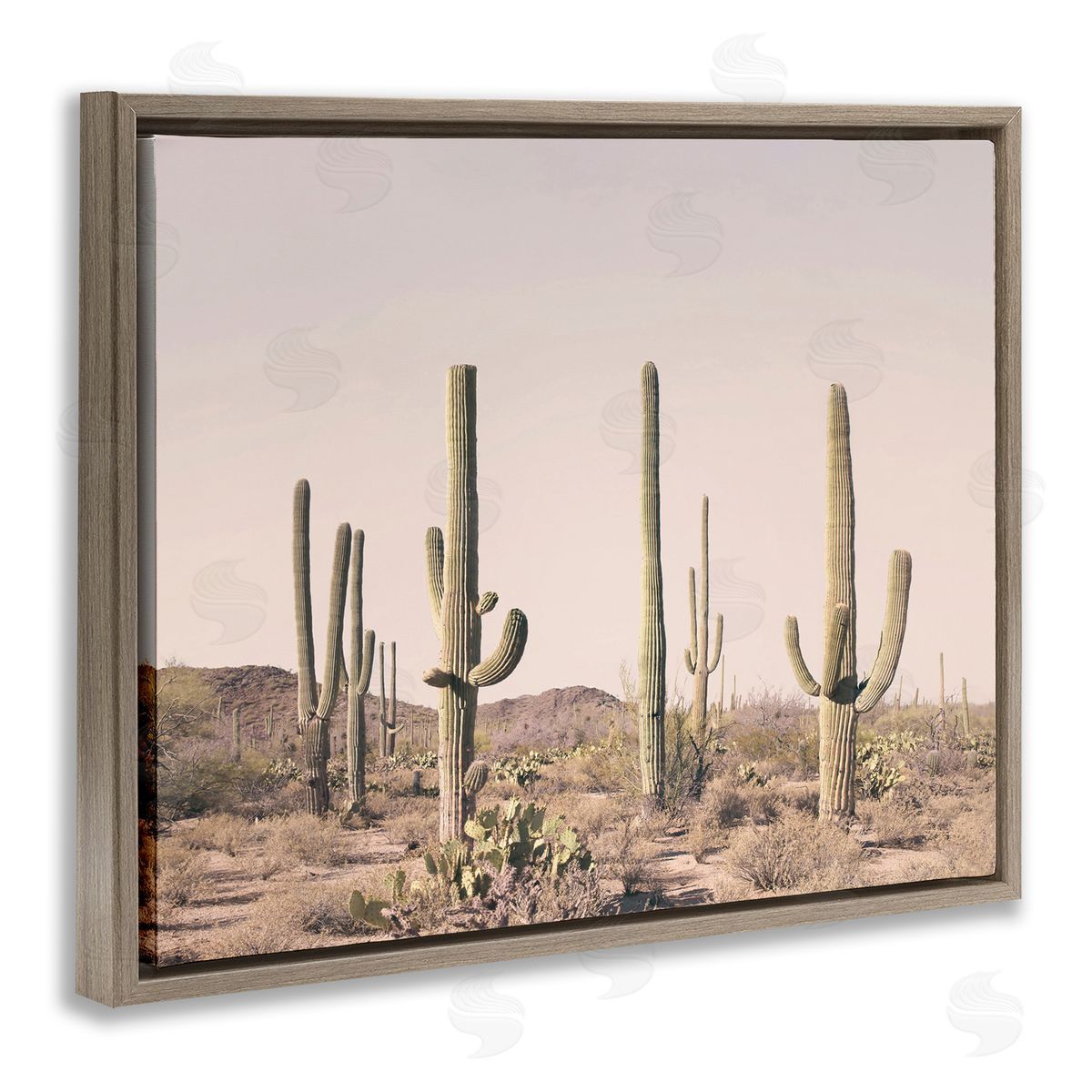 Sisi and Seb Blush Cactus Field Brown Floating Frame Canvas Wall Art Print