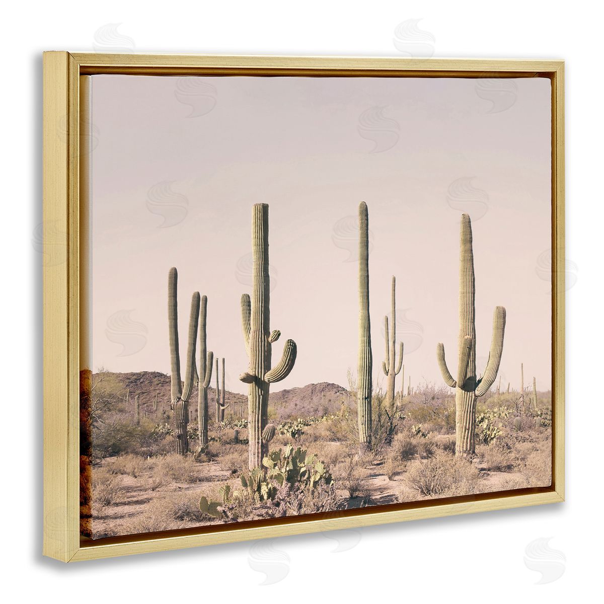 Sisi and Seb Blush Cactus Field Gold Floating Frame Canvas Wall Art Print