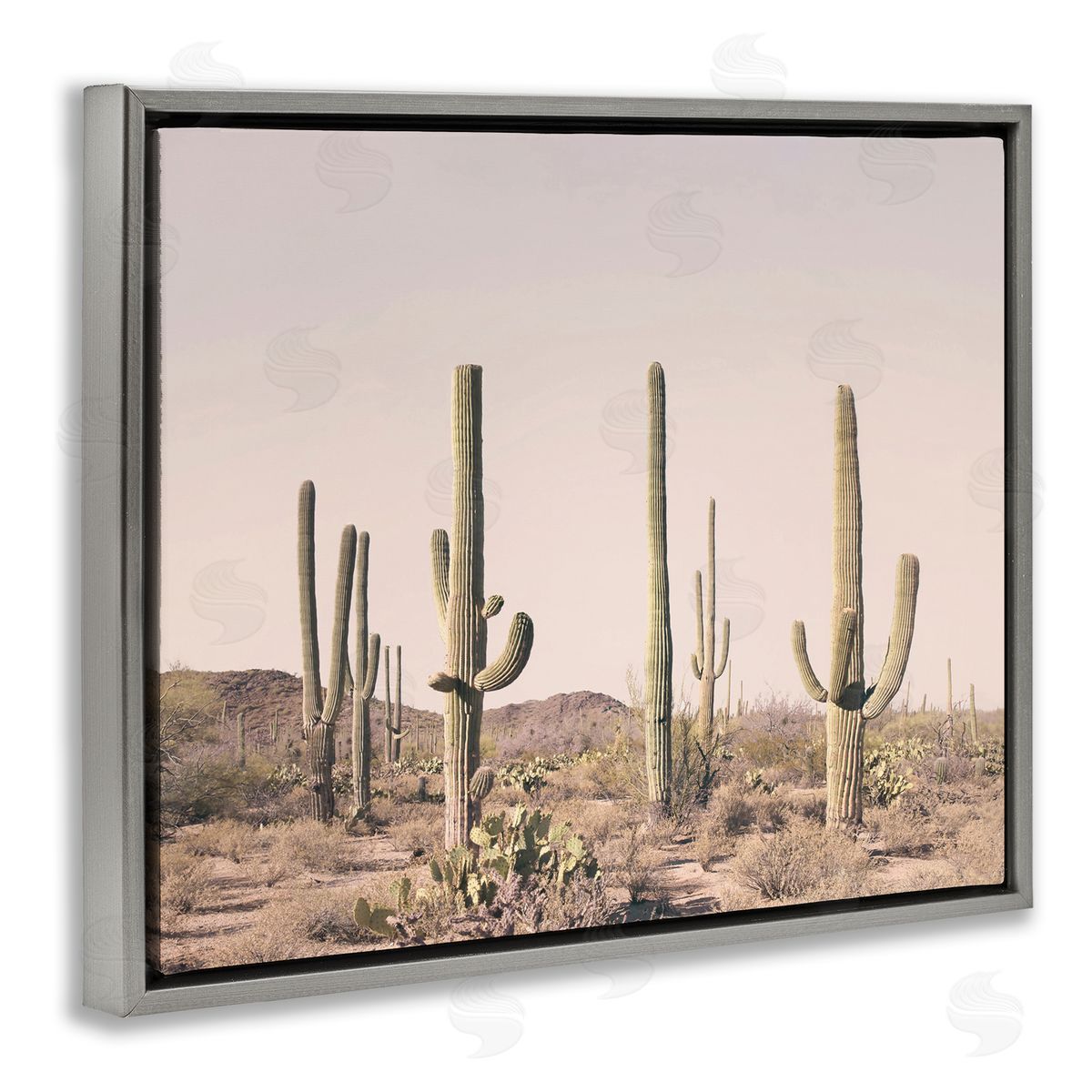 Sisi and Seb Blush Cactus Field Gray Floating Frame Canvas Wall Art Print