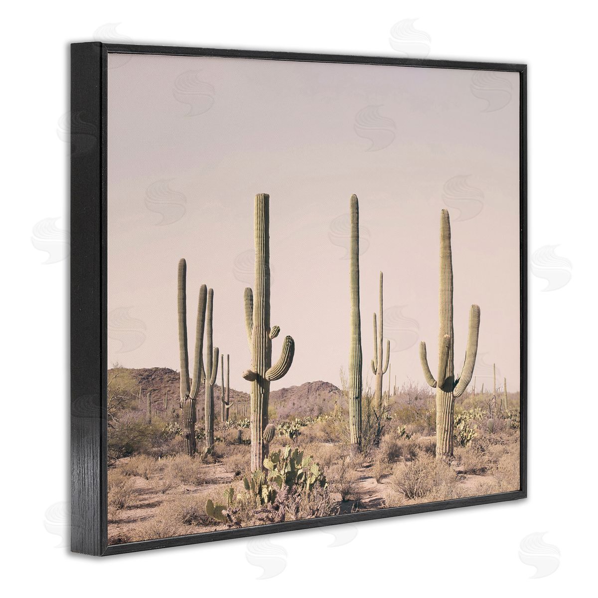 Sisi and Seb Blush Cactus Field Black Framed Giclee Wall Art Print