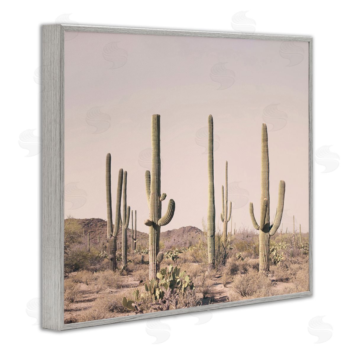 Sisi and Seb Blush Cactus Field Gray Framed Giclee Wall Art Print