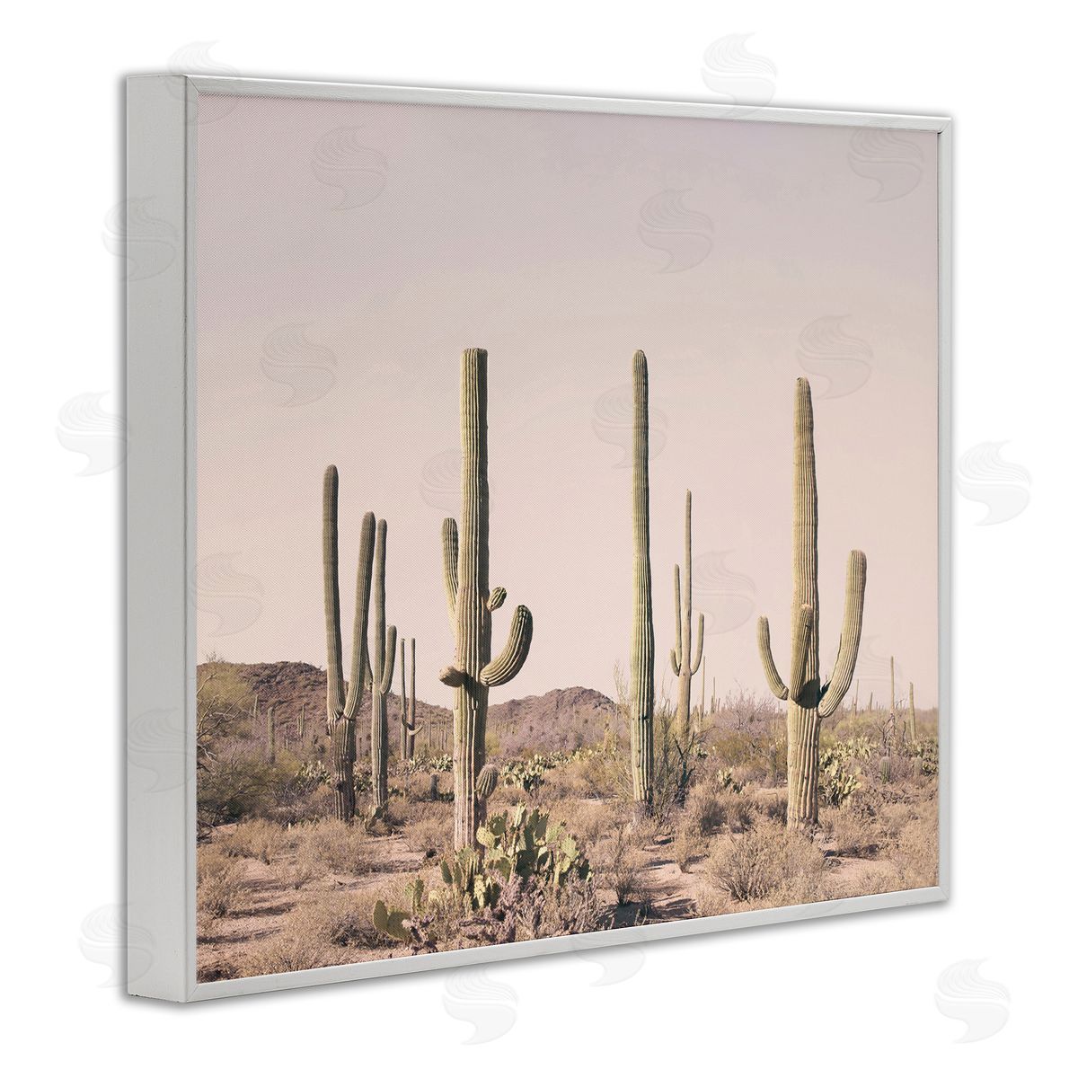 Sisi and Seb Blush Cactus Field White Framed Giclee Wall Art Print