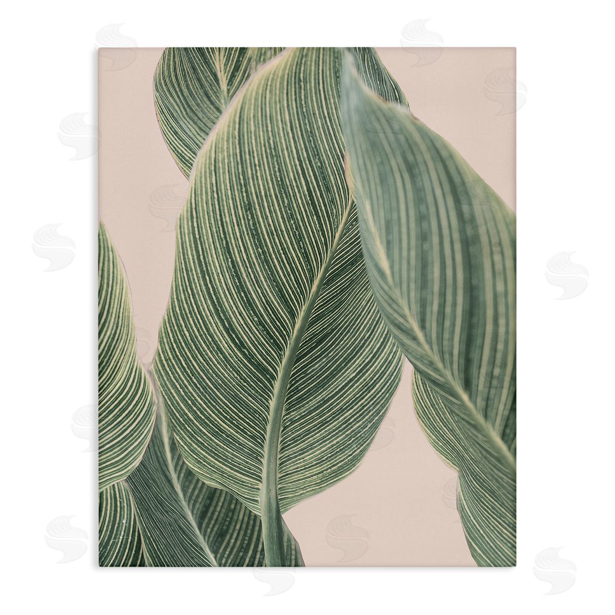 Sisi and Seb Curled Green Leaves Canvas Wall Art Print