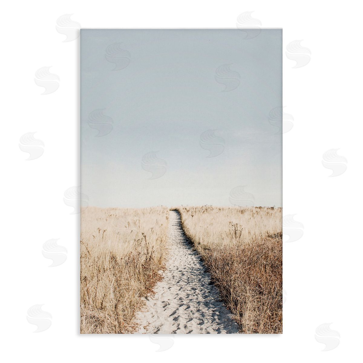 Sisi and Seb Path with Sandy Footprints Canvas Wall Art Print