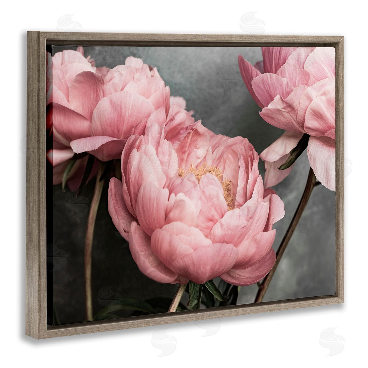 Sisi and Seb Pink Peonies Trio Brown Floating Frame Canvas Wall Art Print