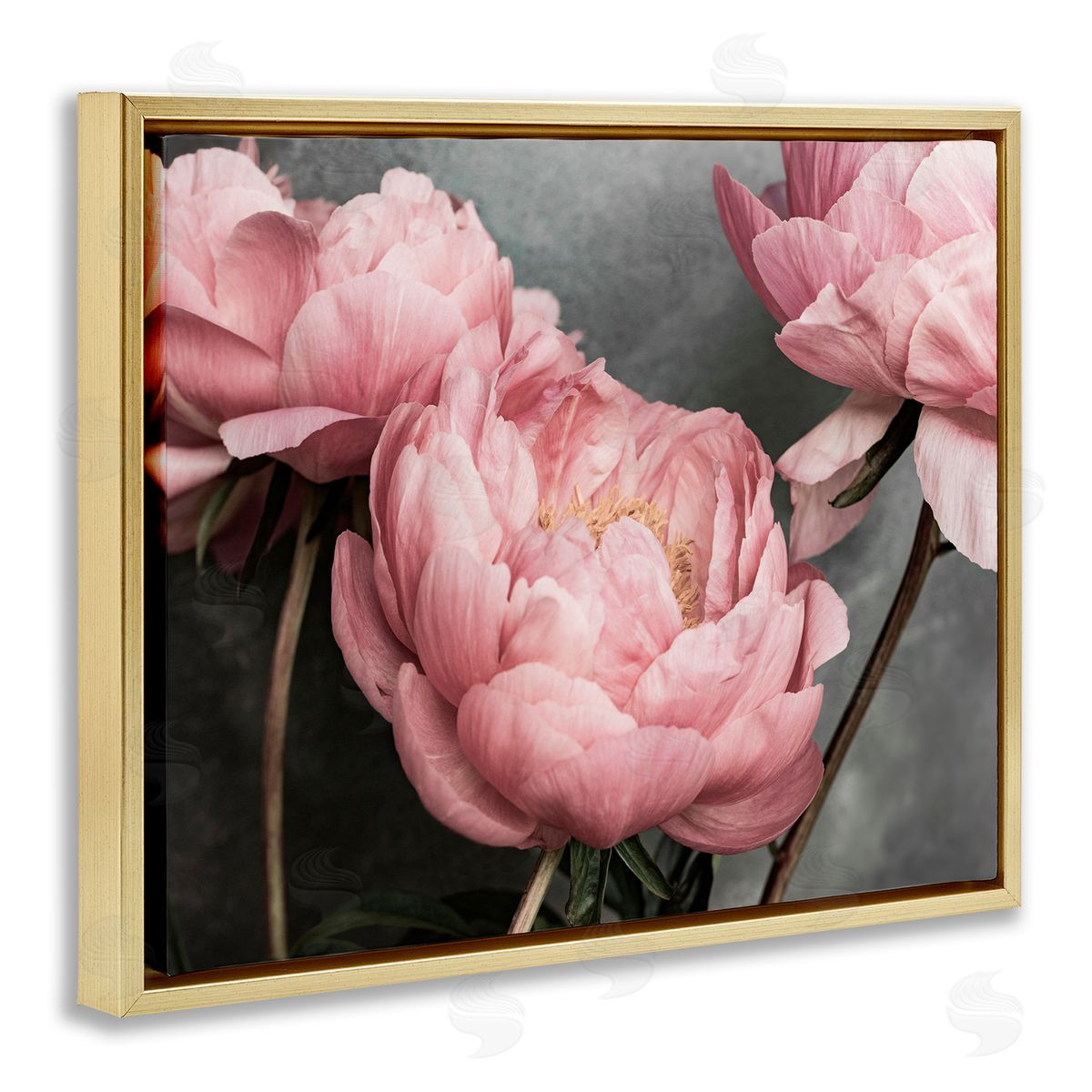 Sisi and Seb Pink Peonies Trio Gold Floating Frame Canvas Wall Art Print