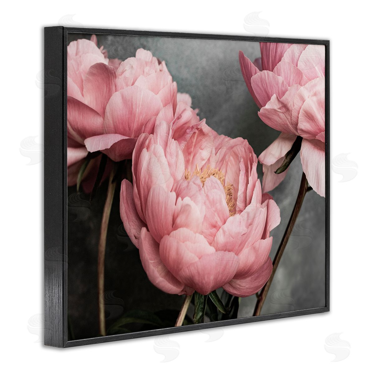 Sisi and Seb Pink Peonies Trio Black Framed Giclee Wall Art Print