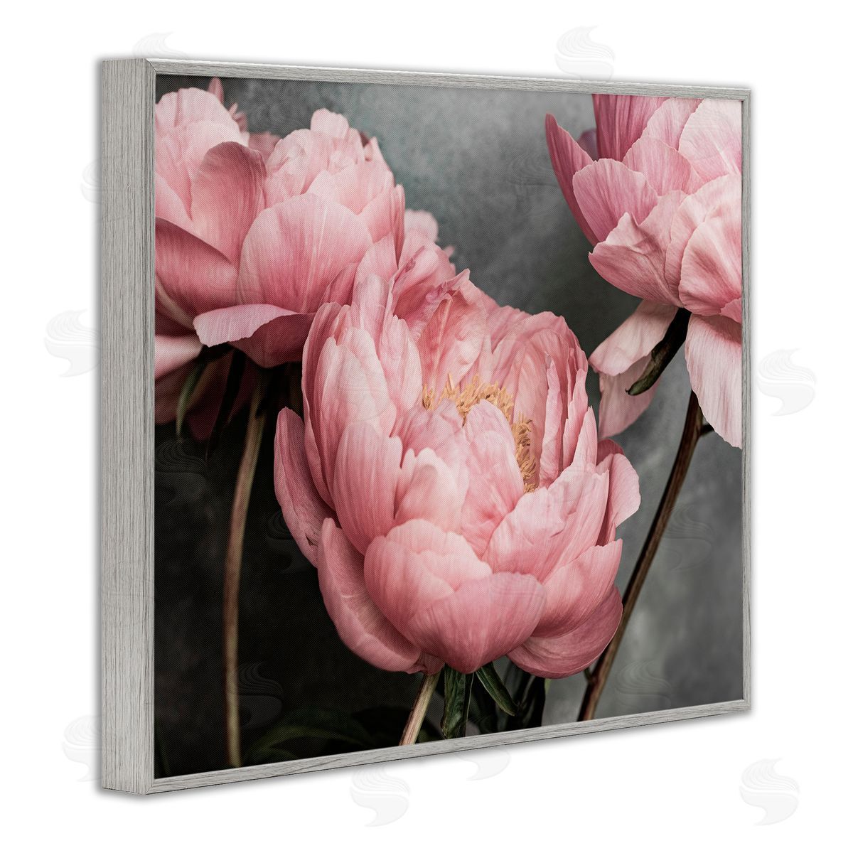 Sisi and Seb Pink Peonies Trio Gray Framed Giclee Wall Art Print