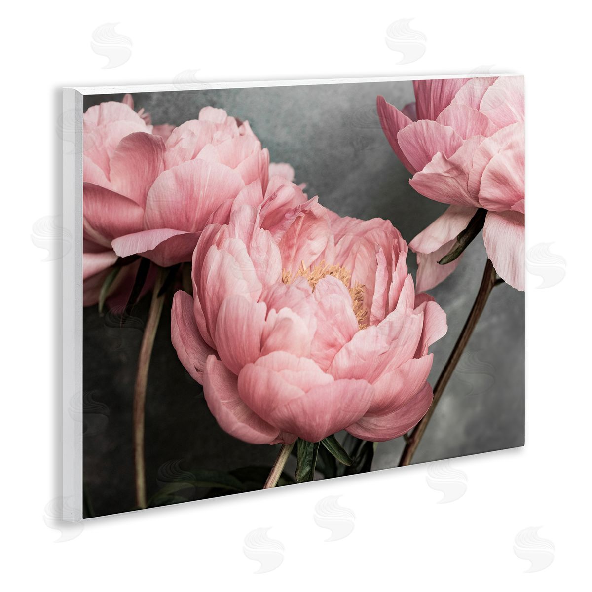 Sisi and Seb Pink Peonies Trio Wooden Wall Plaque Art Print