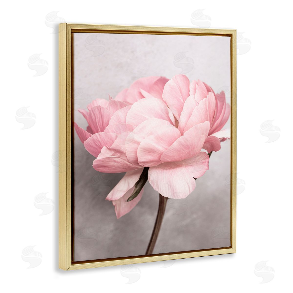 Sisi and Seb Blooming Vintage Peony Gold Floating Frame Canvas Wall Art Print