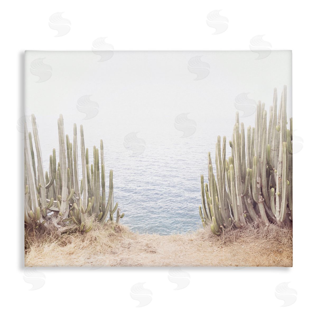 Sisi and Seb Seaside Cacti Plants Canvas Wall Art Print