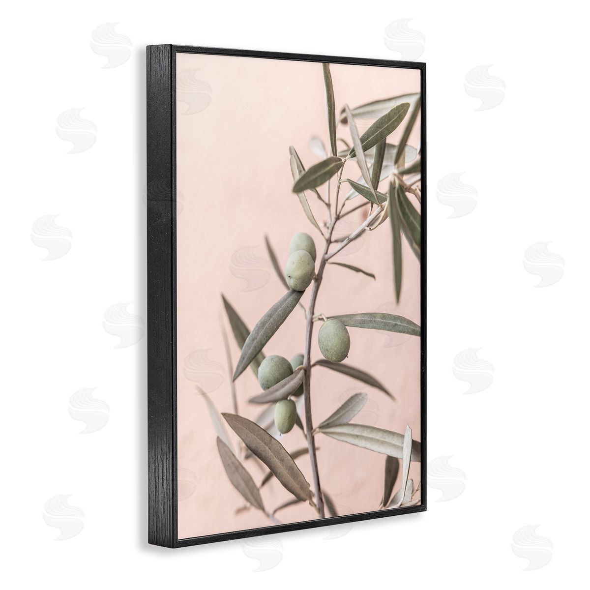 Sisi and Seb Spanish Olive Branch Black Framed Giclee Wall Art Print