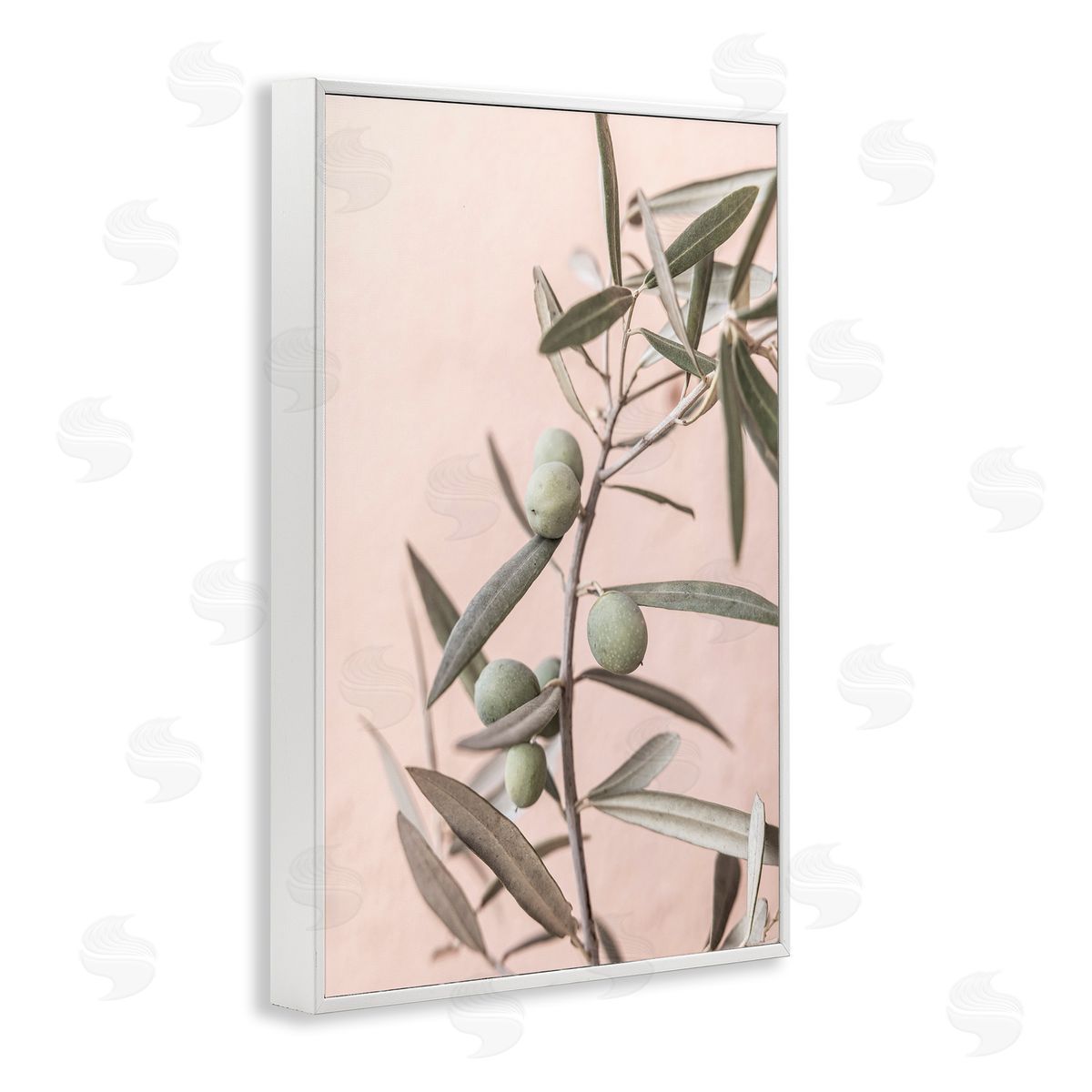 Sisi and Seb Spanish Olive Branch White Framed Giclee Wall Art Print