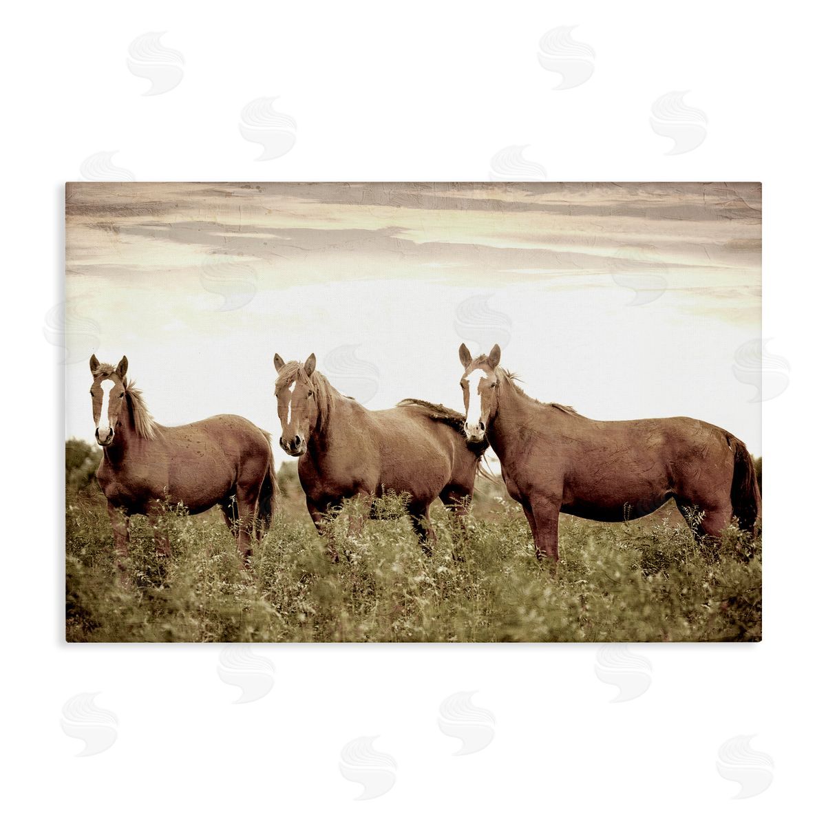 Kim Allen Horse Trio Gaze Canvas Wall Art Print