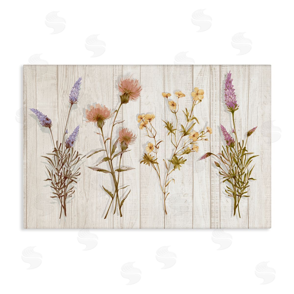Alex Black Wild Flower Sprigs Canvas Wall Art Print