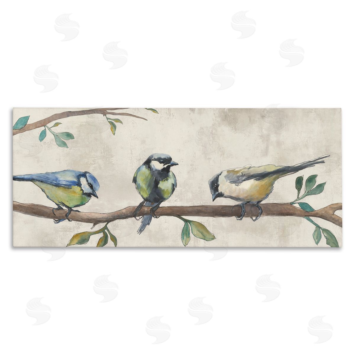 Jacob Q Perched Songbirds on Branch