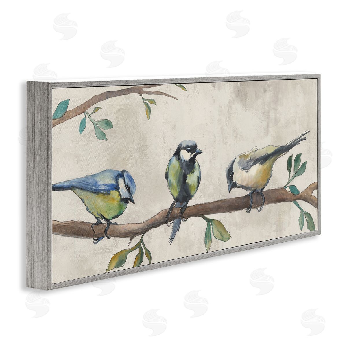 Jacob Q Perched Songbirds on Branch