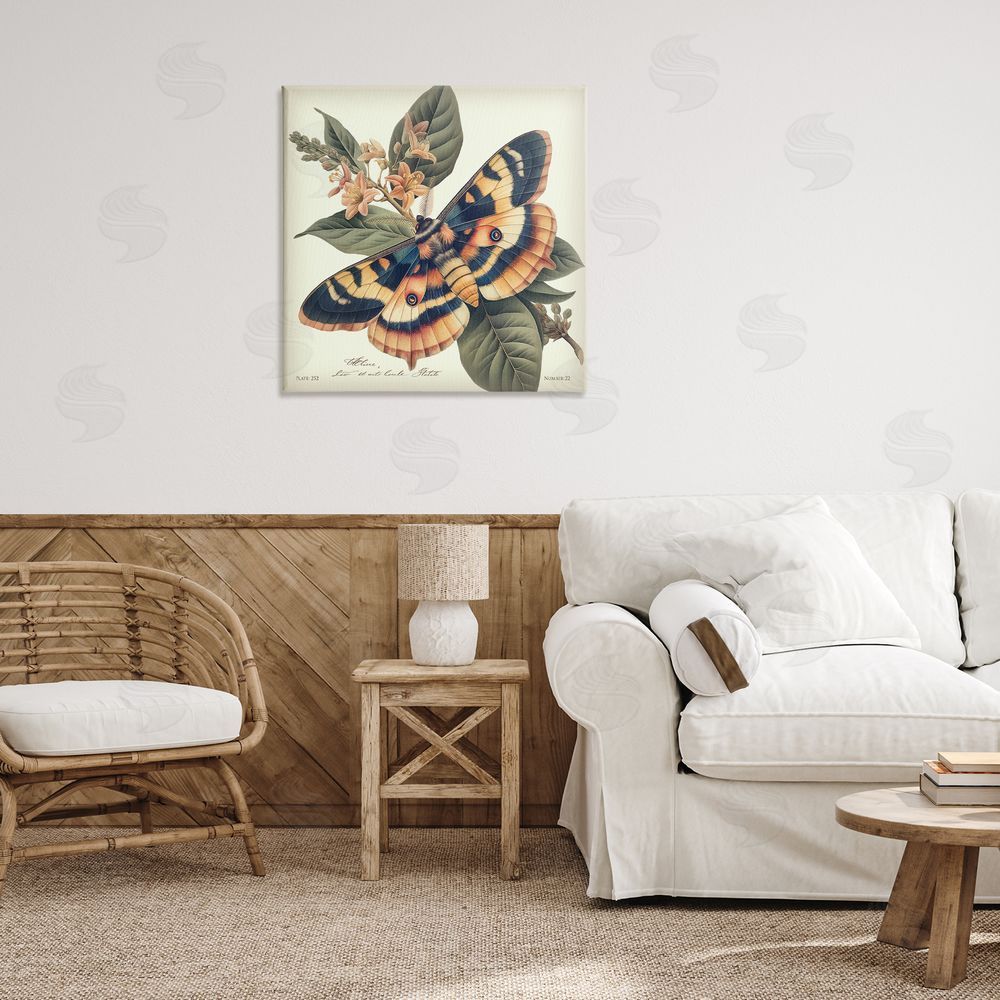 Steve Hunziker Detailed Moth & Lilies Canvas Wall Art Print in Room
