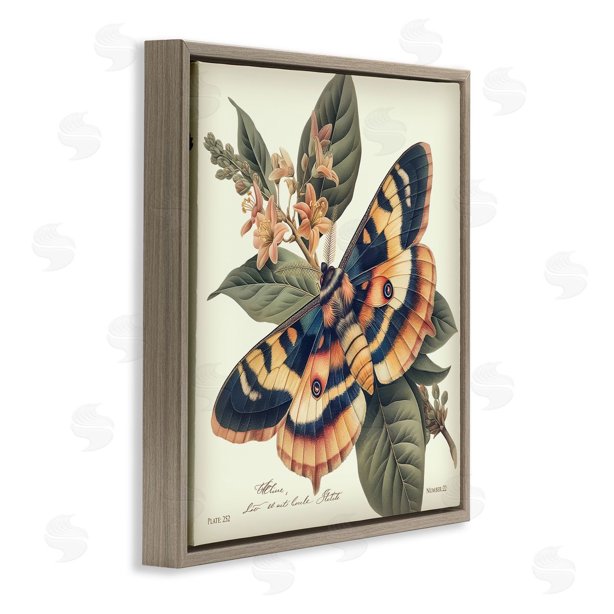 Steve Hunziker Detailed Moth & Lilies Brown Floating Frame Canvas Wall Art Print