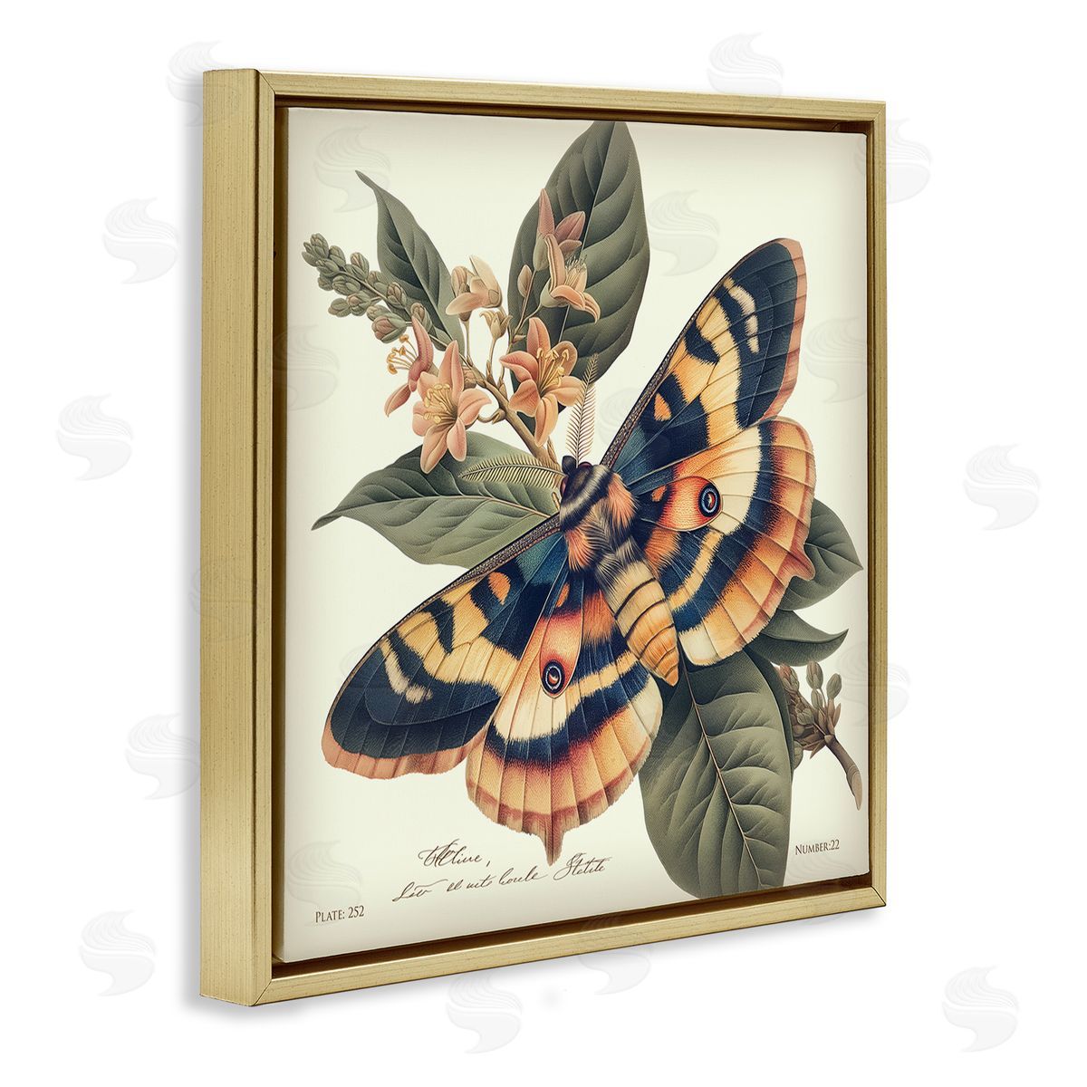 Steve Hunziker Detailed Moth & Lilies Gold Floating Frame Canvas Wall Art Print