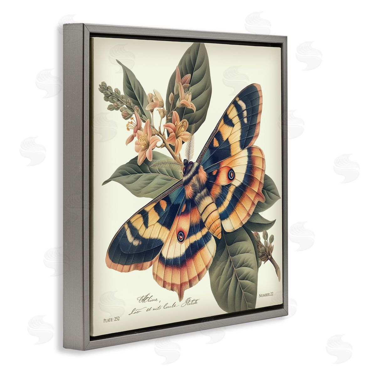 Steve Hunziker Detailed Moth & Lilies Gray Floating Frame Canvas Wall Art Print
