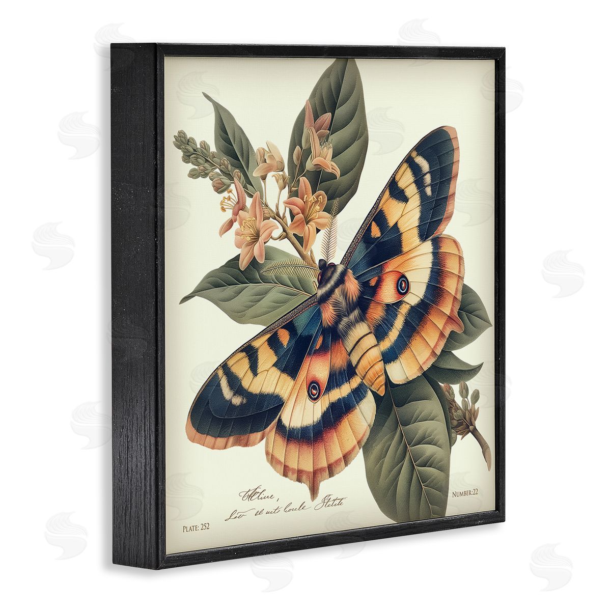 Steve Hunziker Detailed Moth & Lilies Black Framed Giclee Wall Art Print