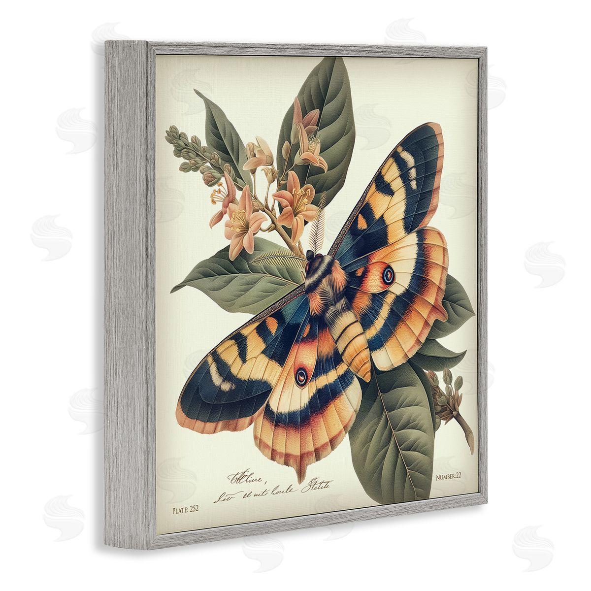 Steve Hunziker Detailed Moth & Lilies Gray Framed Giclee Wall Art Print