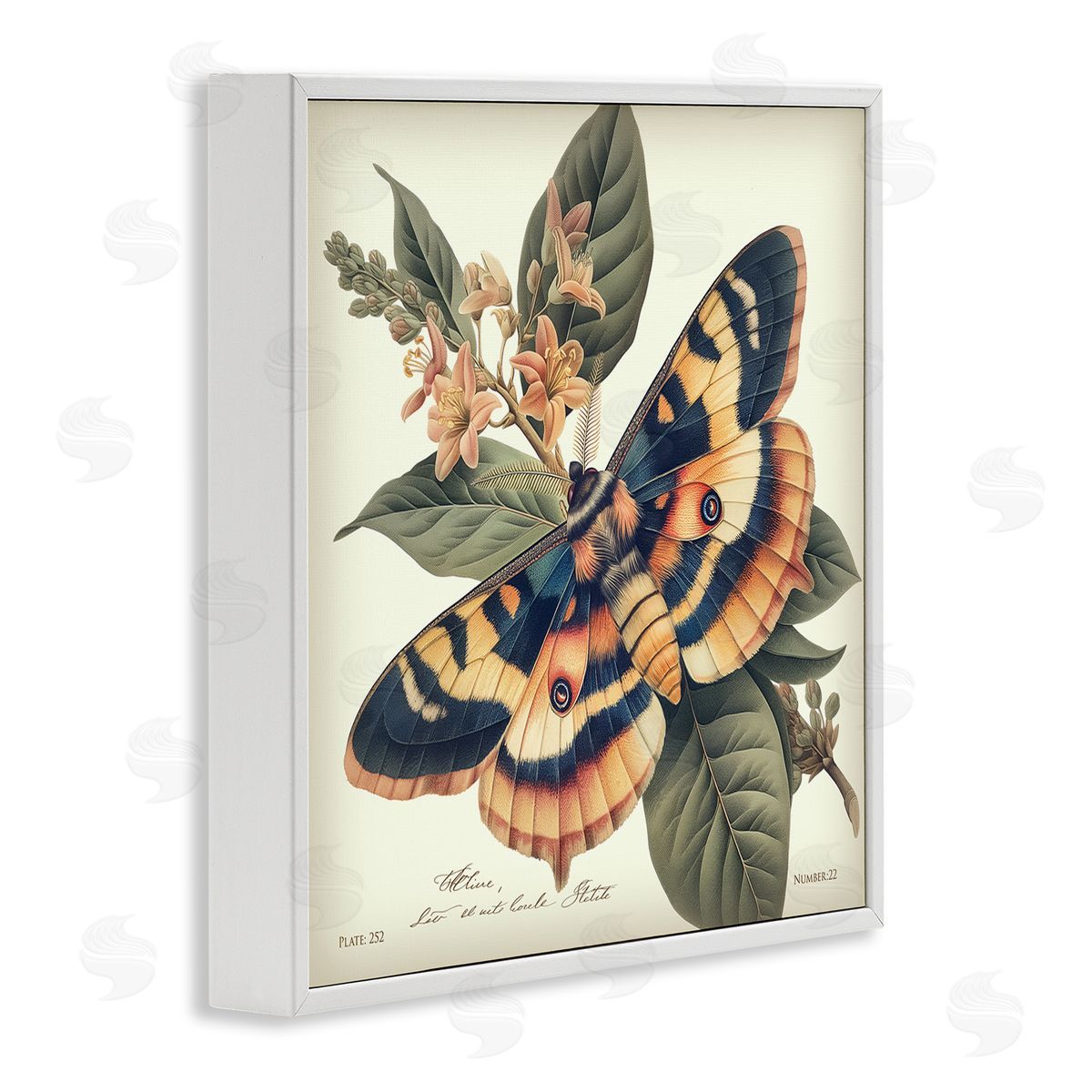 Steve Hunziker Detailed Moth & Lilies White Framed Giclee Wall Art Print