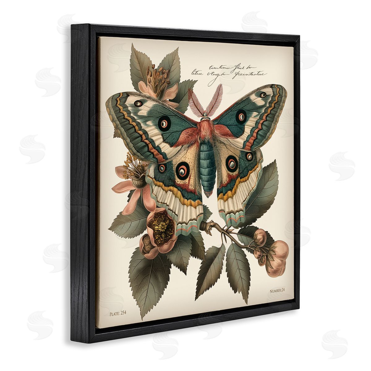 Steve Hunziker Green Patterned Moth Black Floating Frame Canvas Wall Art Print