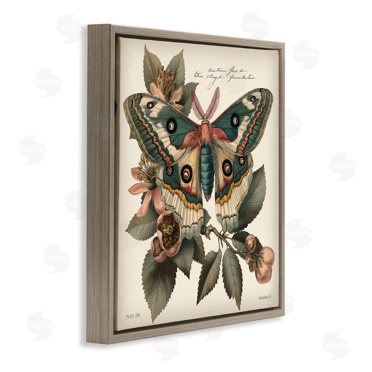 Steve Hunziker Green Patterned Moth Brown Floating Frame Canvas Wall Art Print