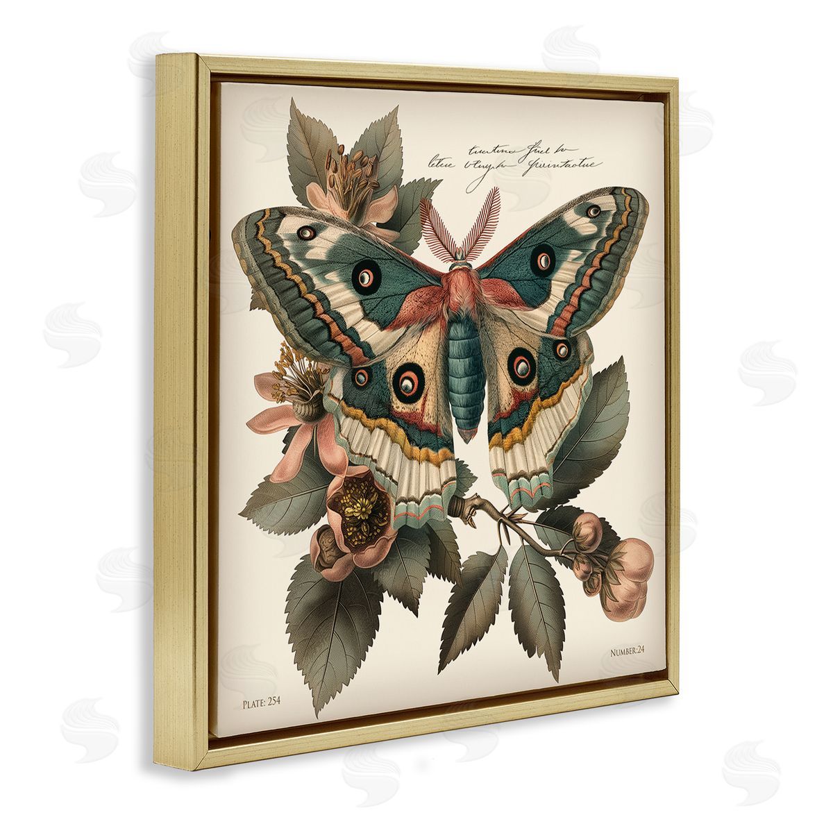 Steve Hunziker Green Patterned Moth Gold Floating Frame Canvas Wall Art Print