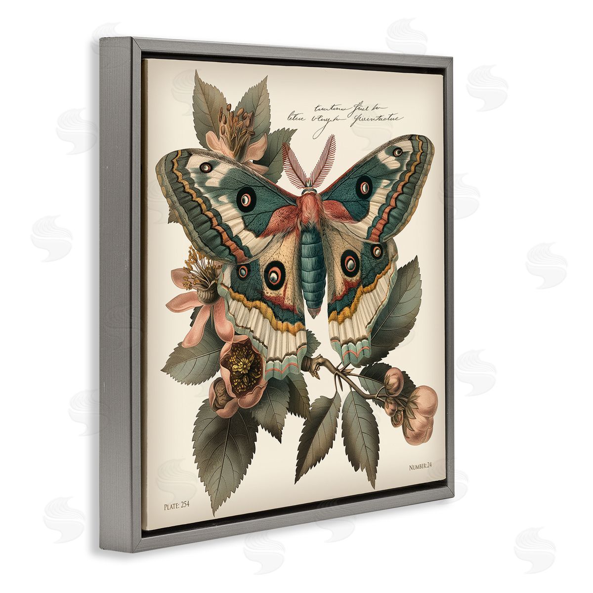 Steve Hunziker Green Patterned Moth Gray Floating Frame Canvas Wall Art Print