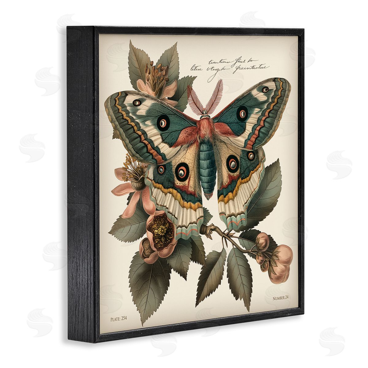 Steve Hunziker Green Patterned Moth Black Framed Giclee Wall Art Print