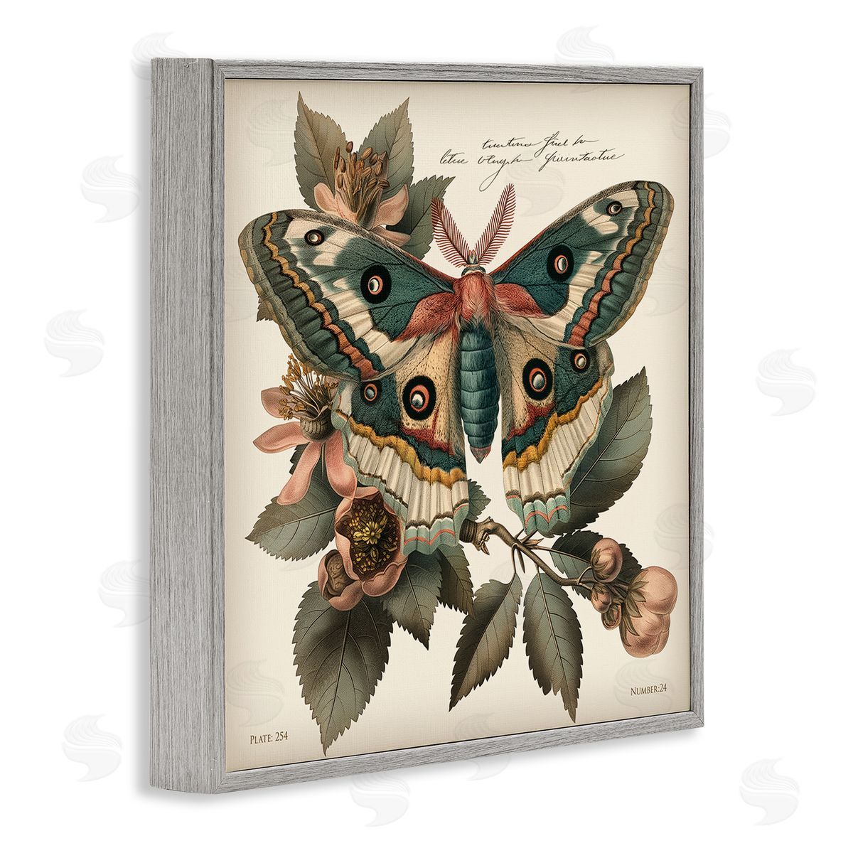 Steve Hunziker Green Patterned Moth Gray Framed Giclee Wall Art Print