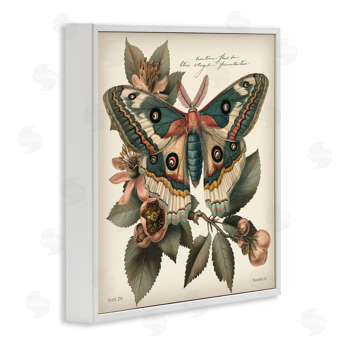 Steve Hunziker Green Patterned Moth White Framed Giclee Wall Art Print