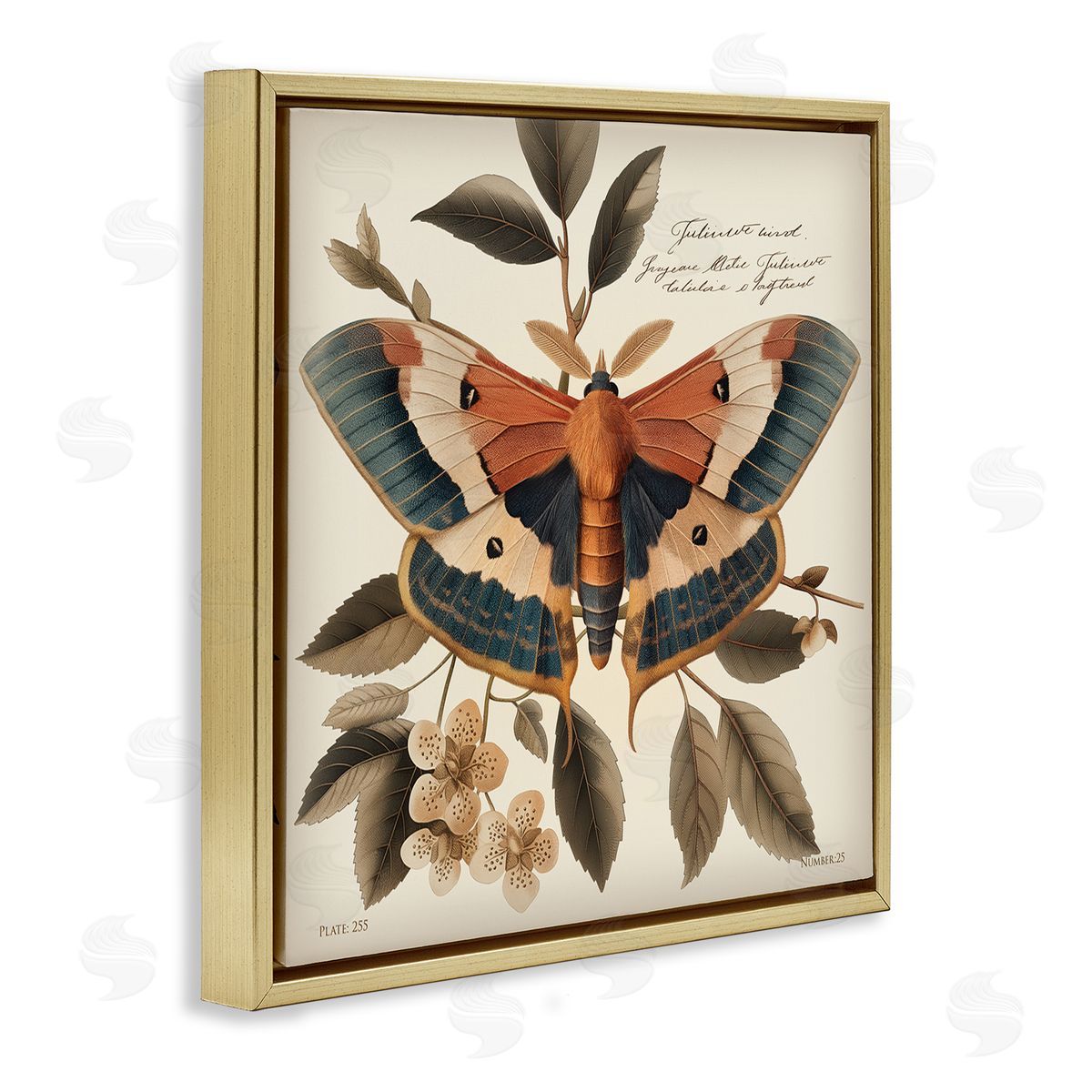 Steve Hunziker Enchanting Moth & Plant Gold Floating Frame Canvas Wall Art Print