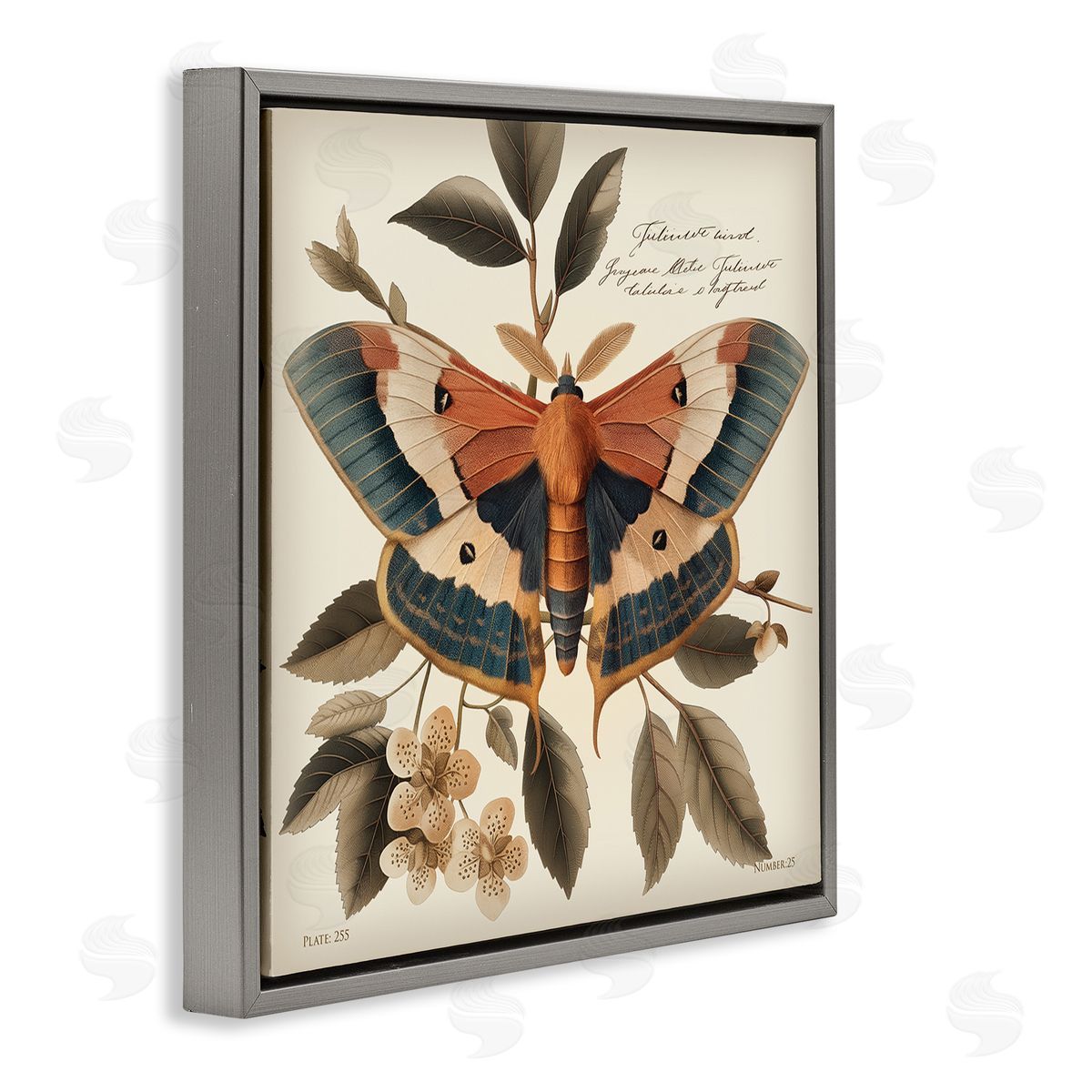 Steve Hunziker Enchanting Moth & Plant Gray Floating Frame Canvas Wall Art Print