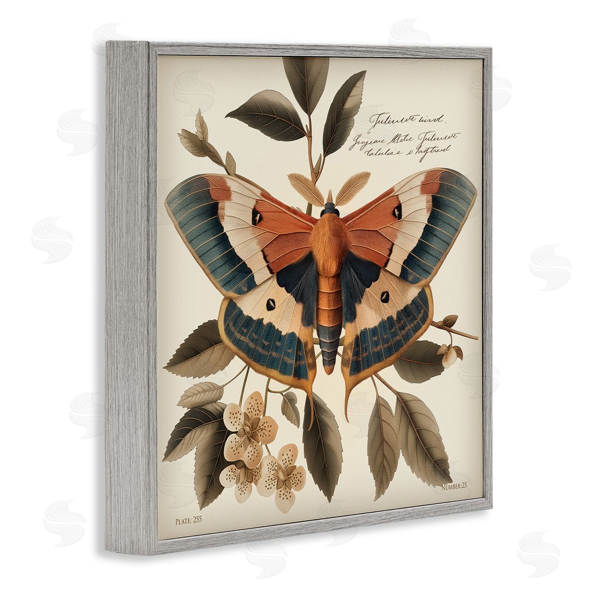 Steve Hunziker Enchanting Moth & Plant Gray Framed Giclee Wall Art Print
