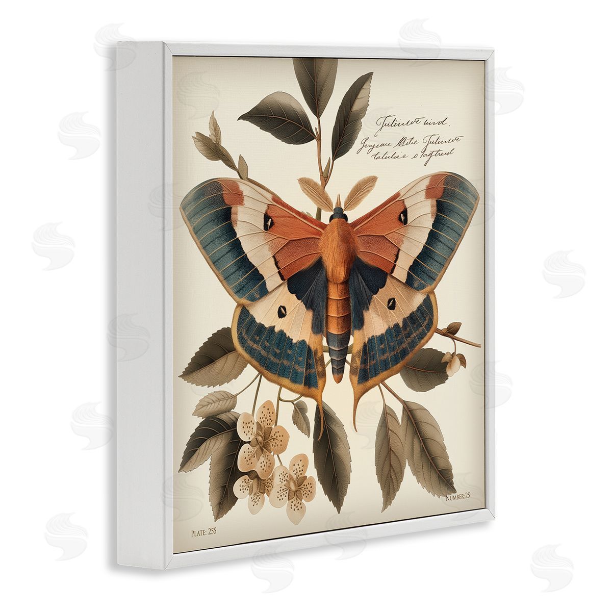 Steve Hunziker Enchanting Moth & Plant White Framed Giclee Wall Art Print